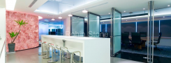 office-Rose-quartz_60.jpg