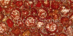 Patrified Wood Red Slab SEB