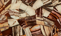 Zebra Jasper