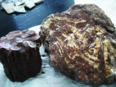 Rough Petrified Wood
