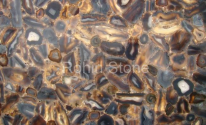 Wild Agate Slab SEB