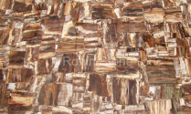Solid Retro Brown Petrifiedwood SEB