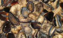 Black Agate Slab SEB