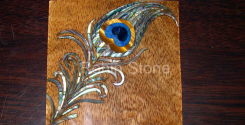 Peacock Feather Inlay in Wood